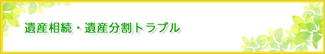 遺産相続・遺産分割トラブル